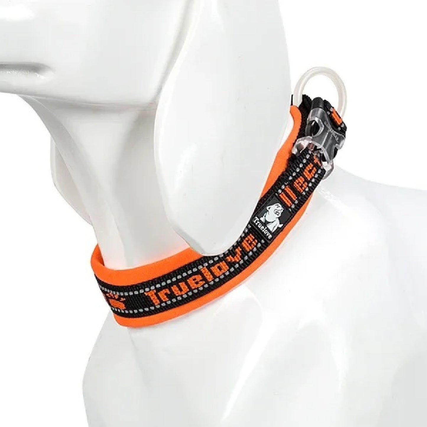 Halsband liegt bequem am Hals eines mittelgrossen Hundes