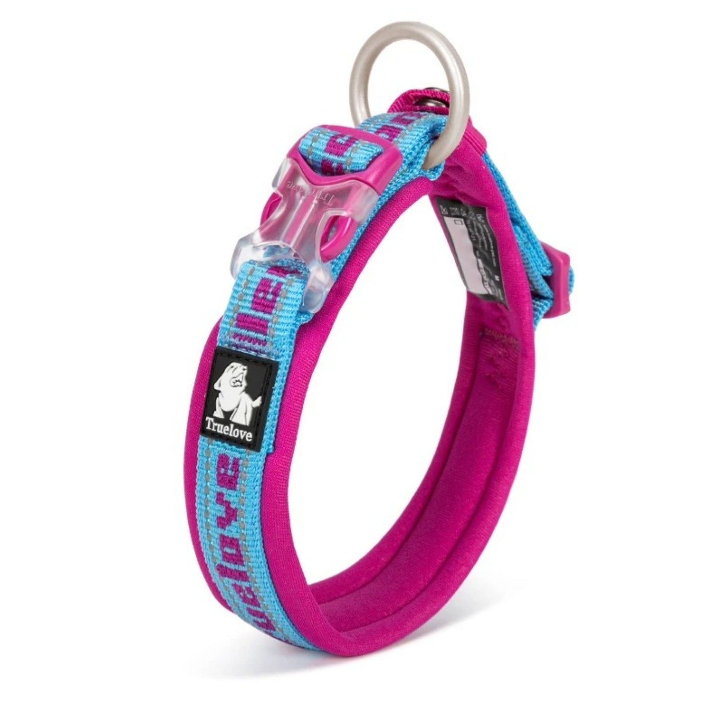 Hund läuft mit sicherem, reflektierendem Halsband