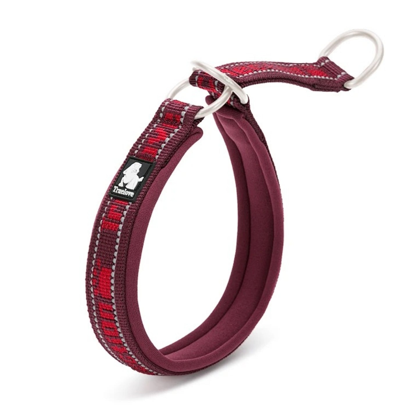Nachtspaziergang mit reflektierendem Hundehalsband