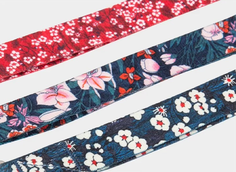 Stabile Hundeleine mit zusätzlichem Kontrollgriff