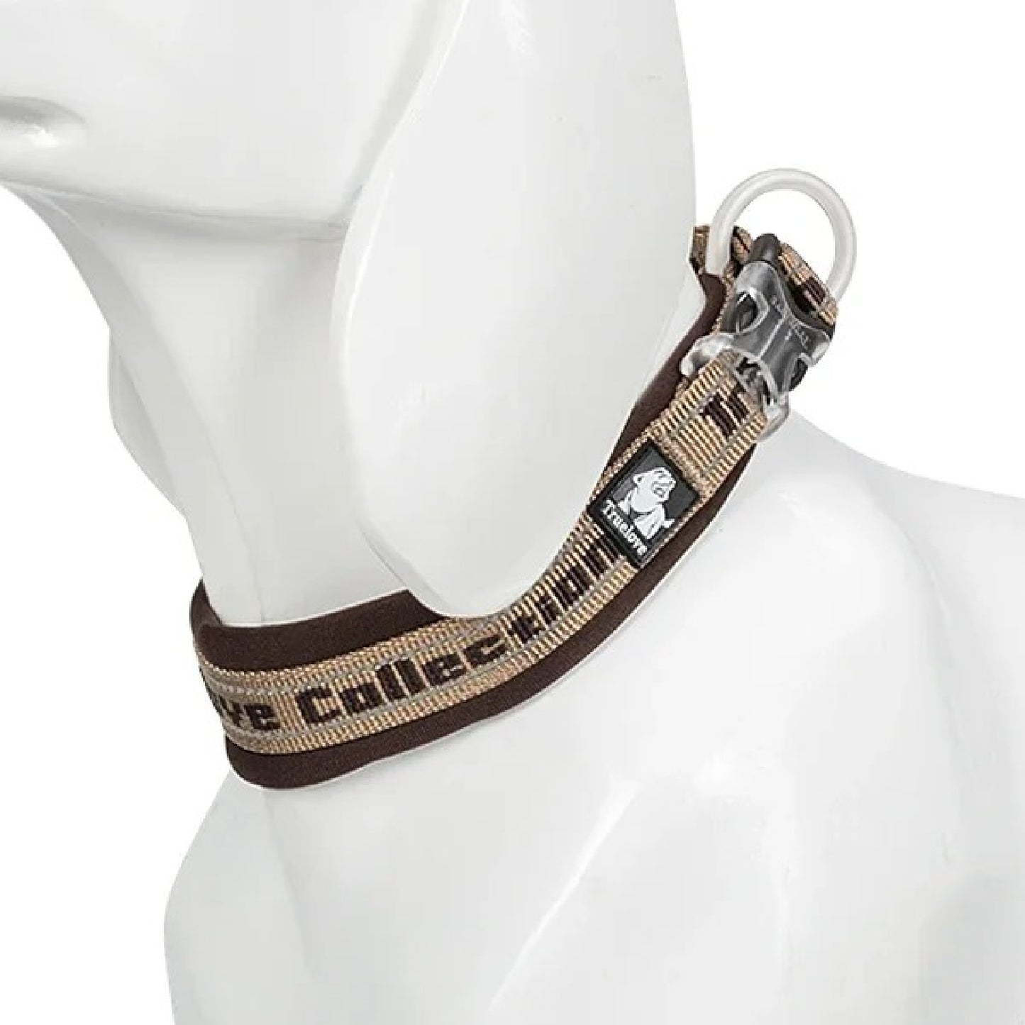 Stilvolles und funktionales Halsband für aktive Hunde