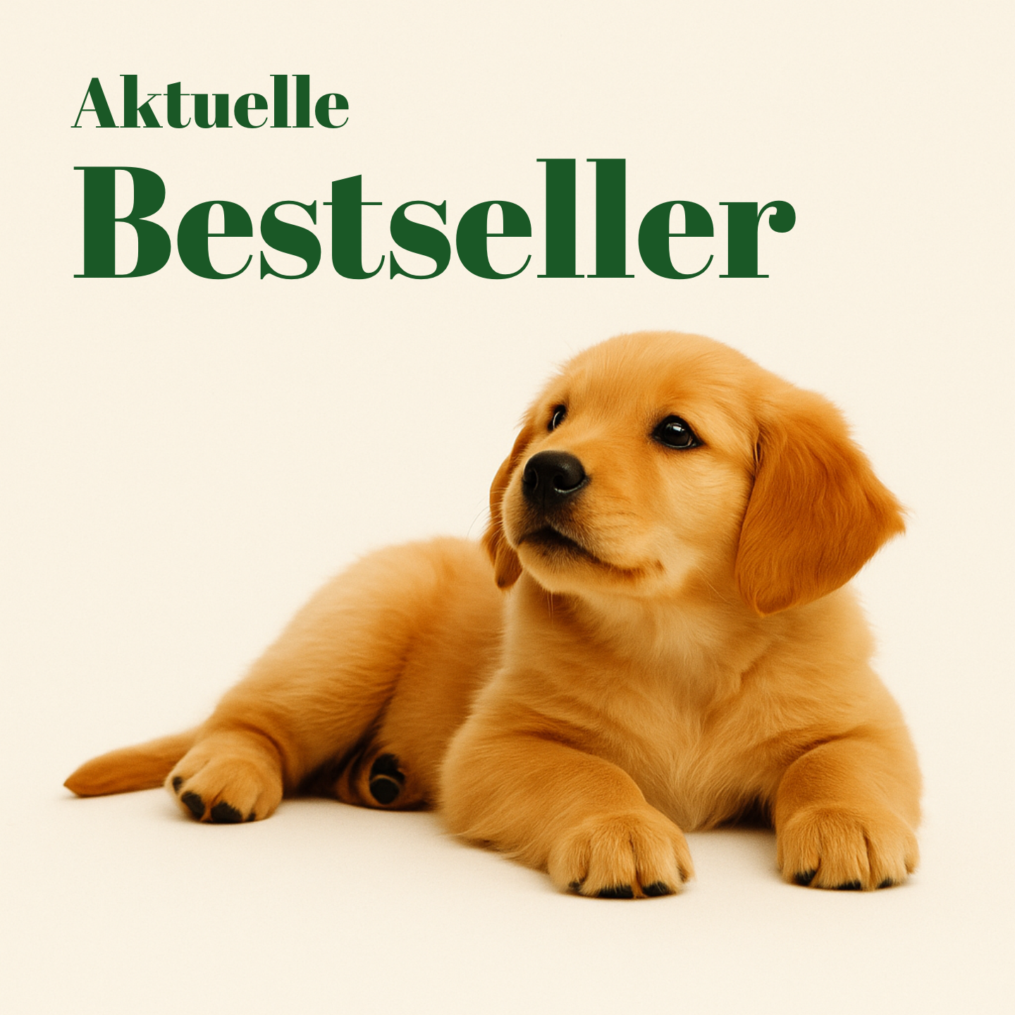 Bestseller bei naiss-hund.ch
