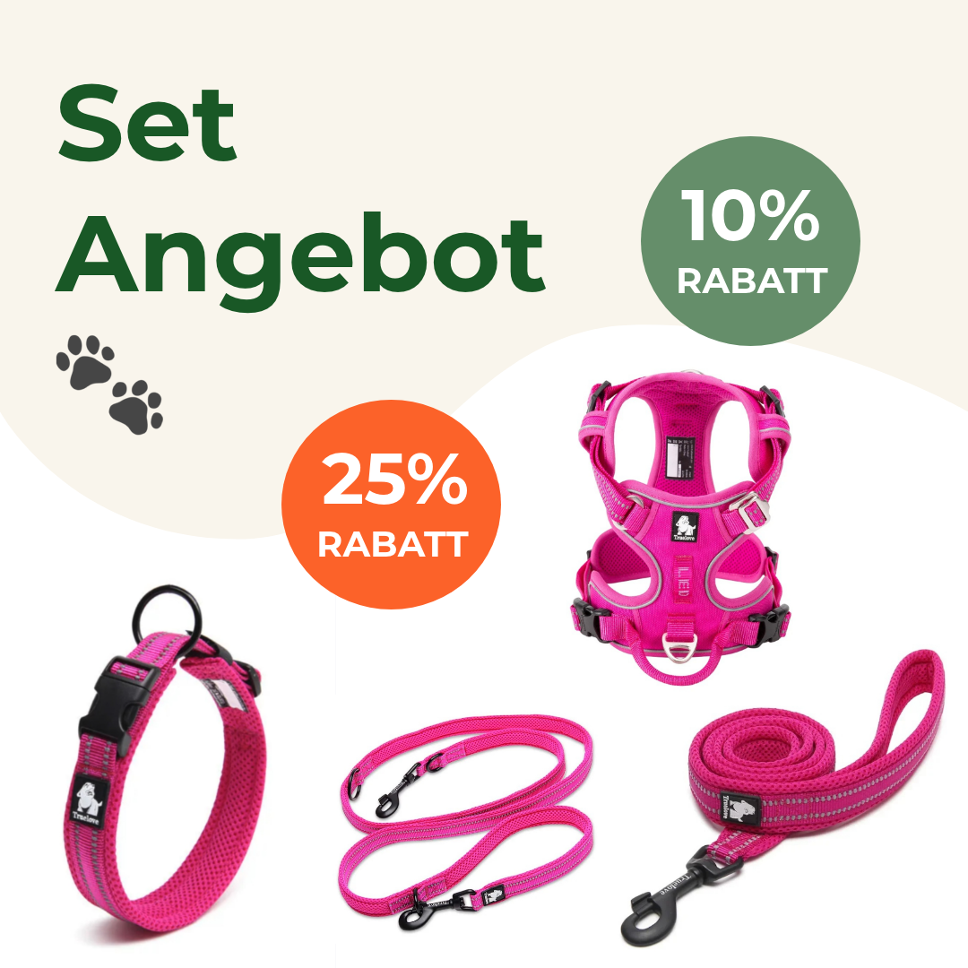 Set Angebot