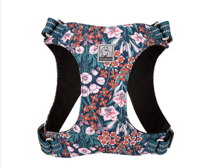 Bequemes Geschirr für kleine Hunde aus Baumwolle