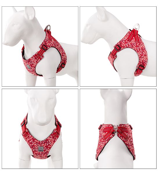 Detailansicht eines floral bedruckten Hundegeschirrs