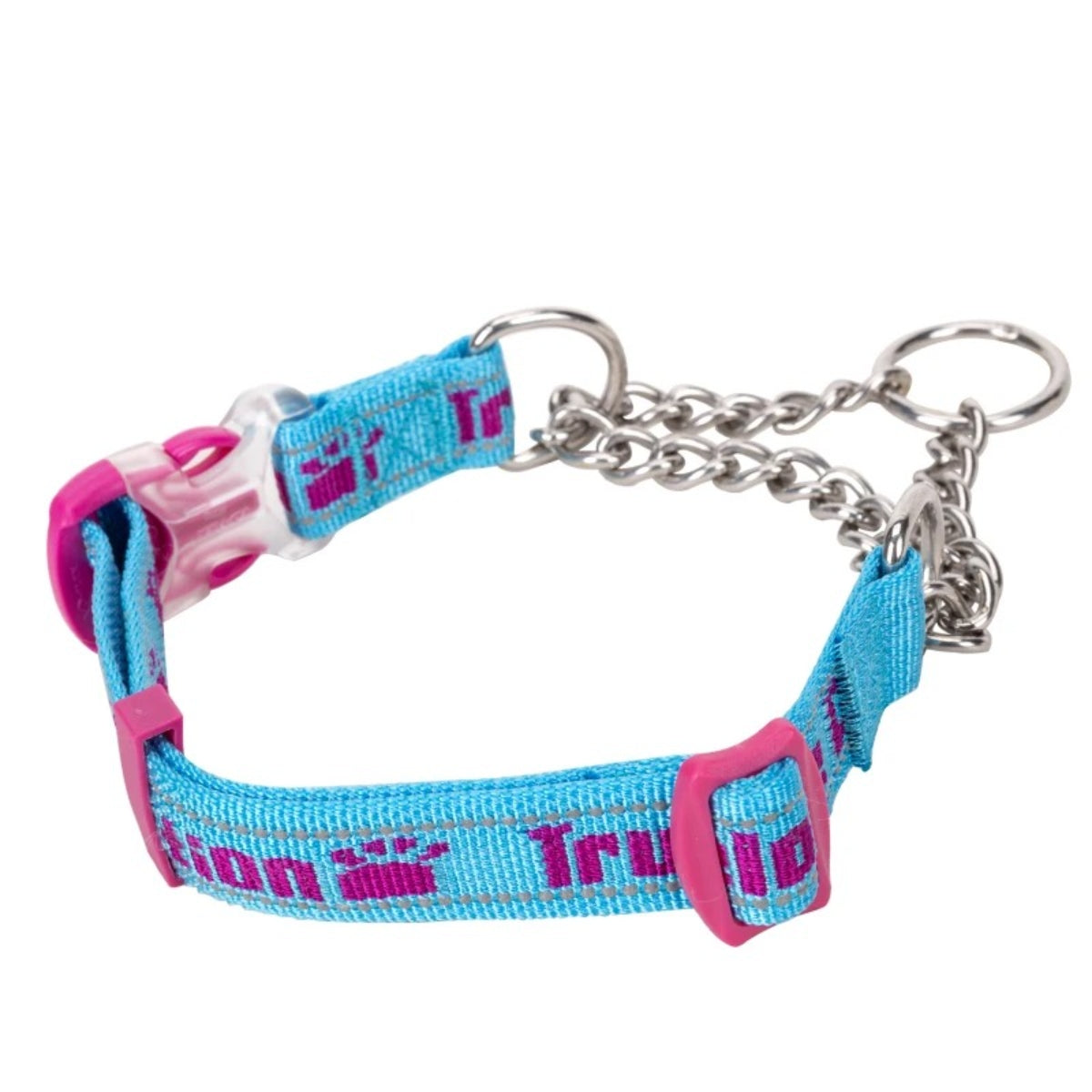 Ergonomisches Design: Bequemes und langlebiges Hundehalsband für aktive Hunde