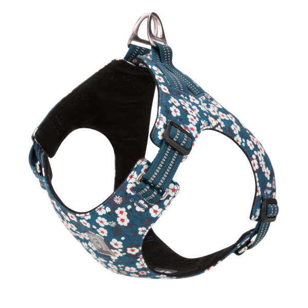 Geschirr mit floraler Struktur für Spaziergänge im Frühling