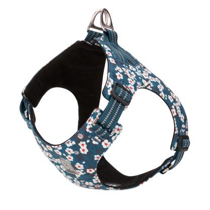 Geschirr mit floraler Struktur für Spaziergänge im Frühling