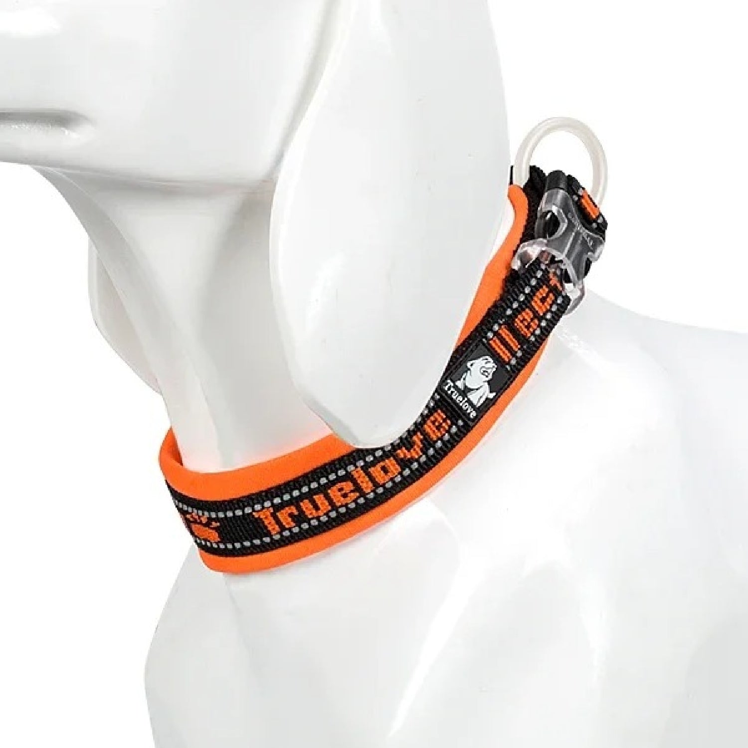 Halsband liegt bequem am Hals eines mittelgrossen Hundes