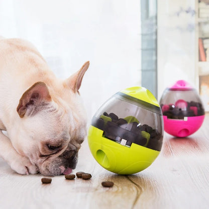 Haustier Spielzeugball für Hunde und Katzen – Reduziert Langeweile
