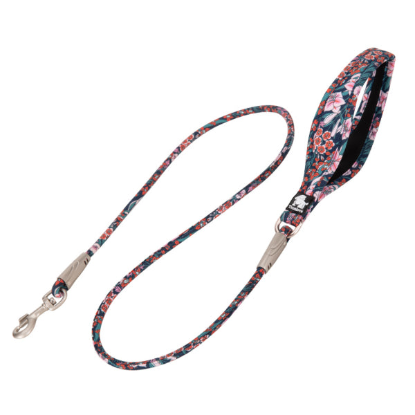 Hochwertige Baumwollleine für kleine und mittelgrosse Hunde