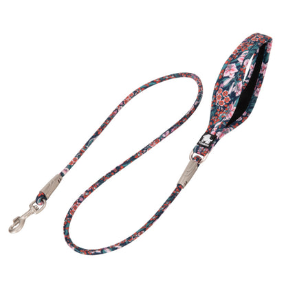 Hochwertige Baumwollleine für kleine und mittelgrosse Hunde