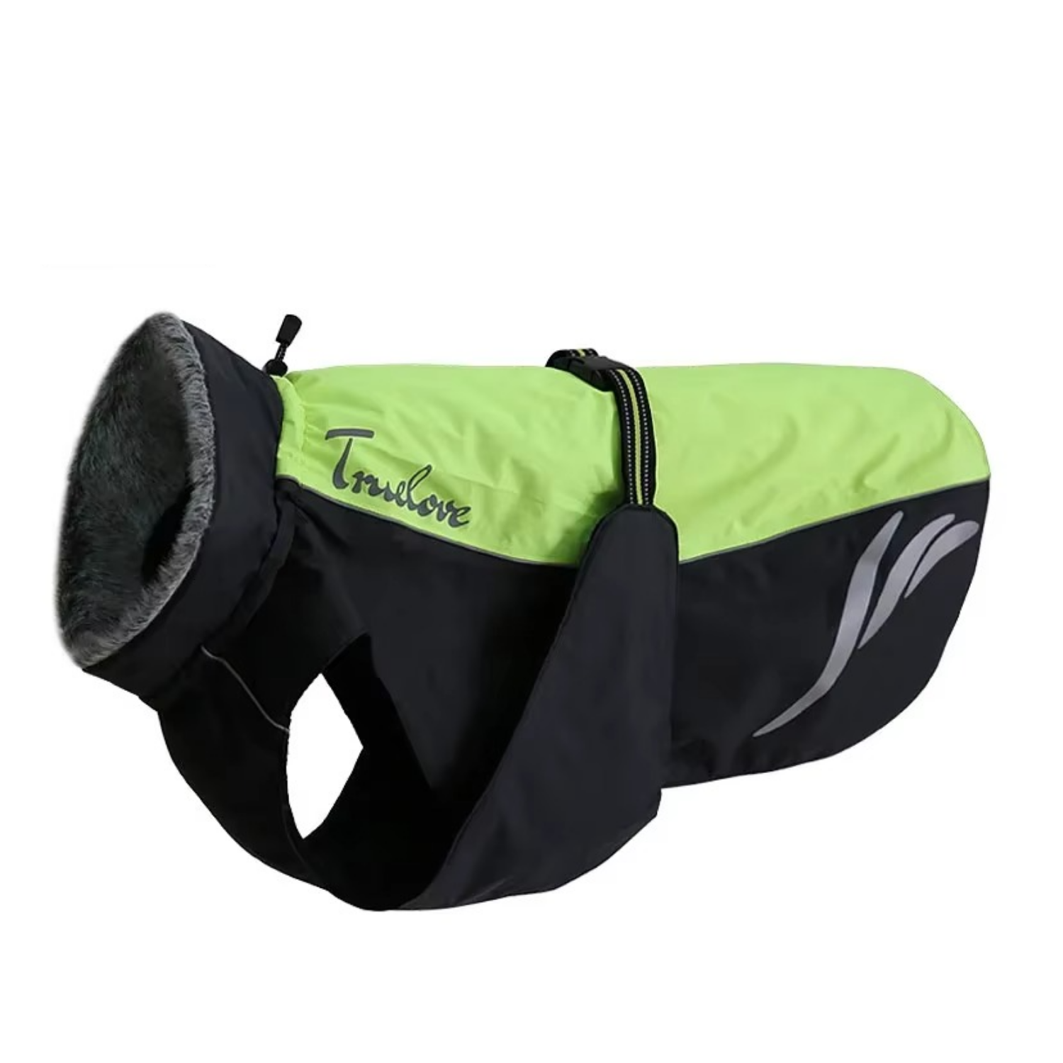 Hund im Wintermantel grun