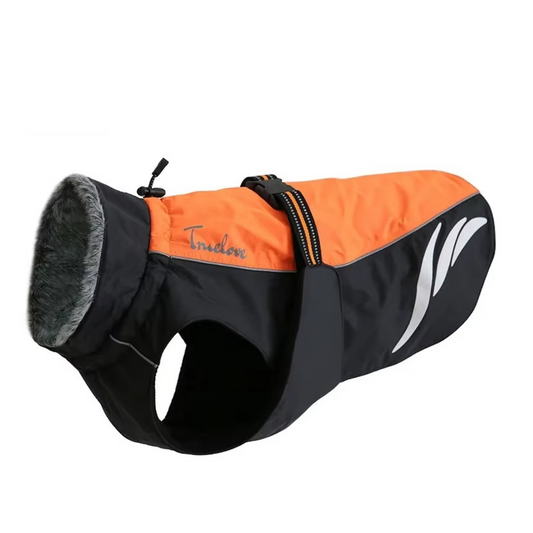 Hund im Wintermantel orange