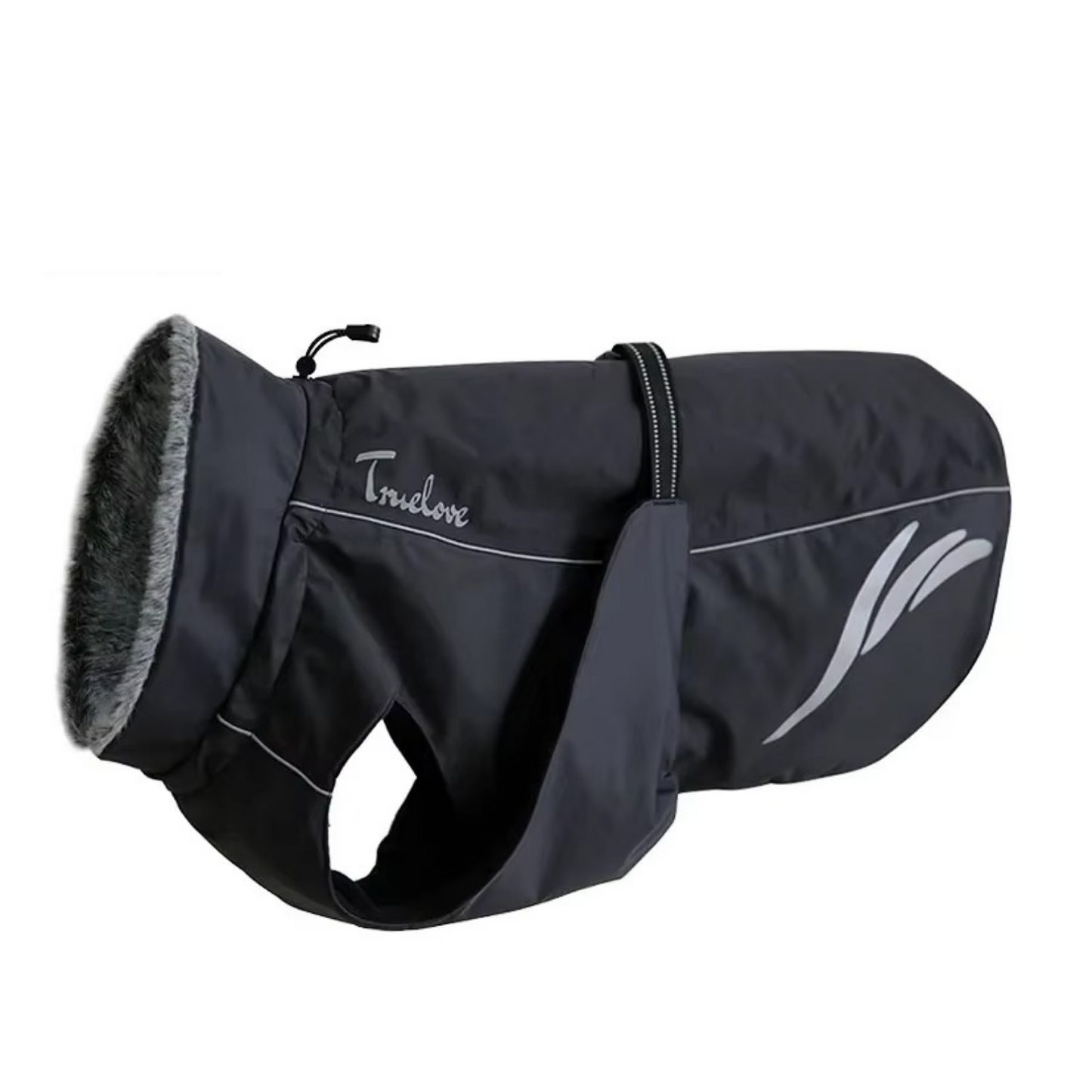 Hund im Wintermantel schwarz