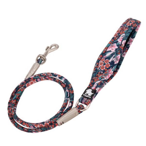 Hund mit Blumenseilleine in Blau