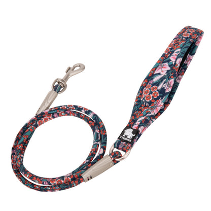 Hund mit Blumenseilleine in Blau