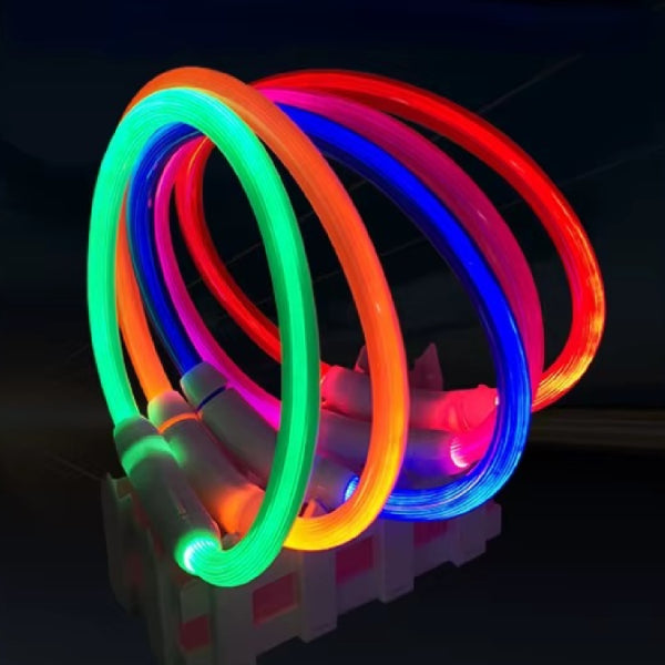 Hund mit leuchtendem LED-Halsband bei Nacht