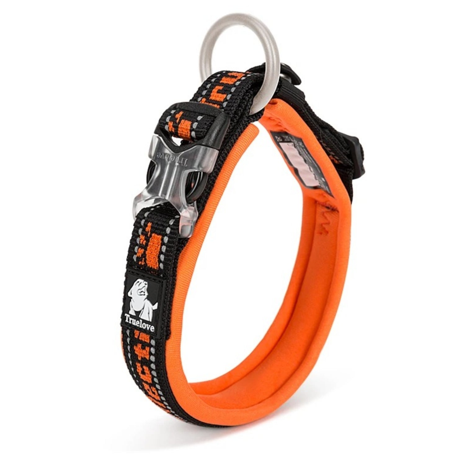 Hund mit reflektierendem Nylon-Halsband bei einem Spaziergang