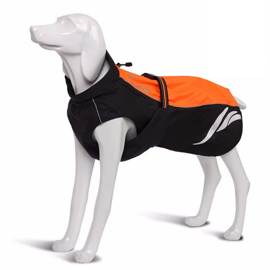 Hund trägt wasserdichten Mantel in Orange