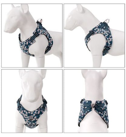 Hundeausrüstung mit floralem Muster in hellblauer Farbe