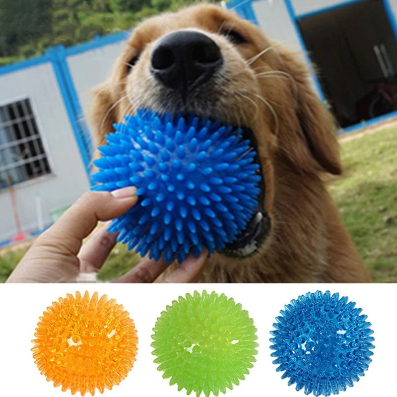 Hundeball im Spiel – ideal für Kiefertraining und Zahnpflege