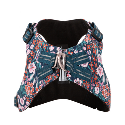 Hundegeschirr mit Blumenprint auf weissem Hintergrund