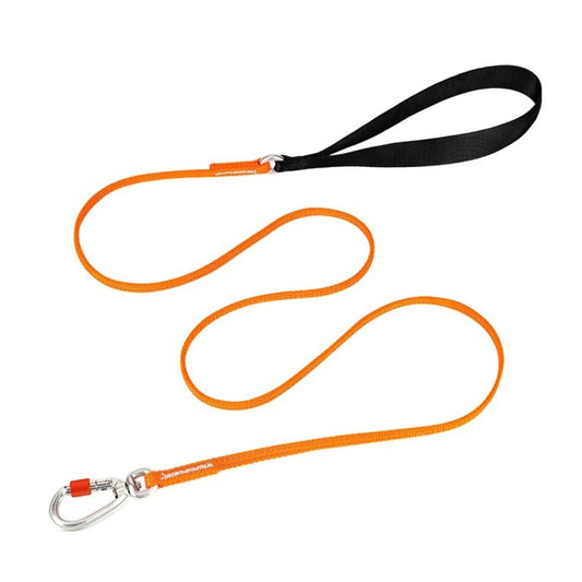 Hundeleine in NeonOrange für kleine Hunde