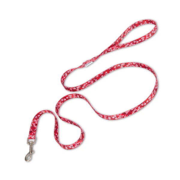 Hundeleine mit Blumenmuster – ideal für tägliche Spaziergänge