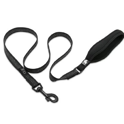 Hundeleine mit LED-Halterung für Nachtspaziergänge