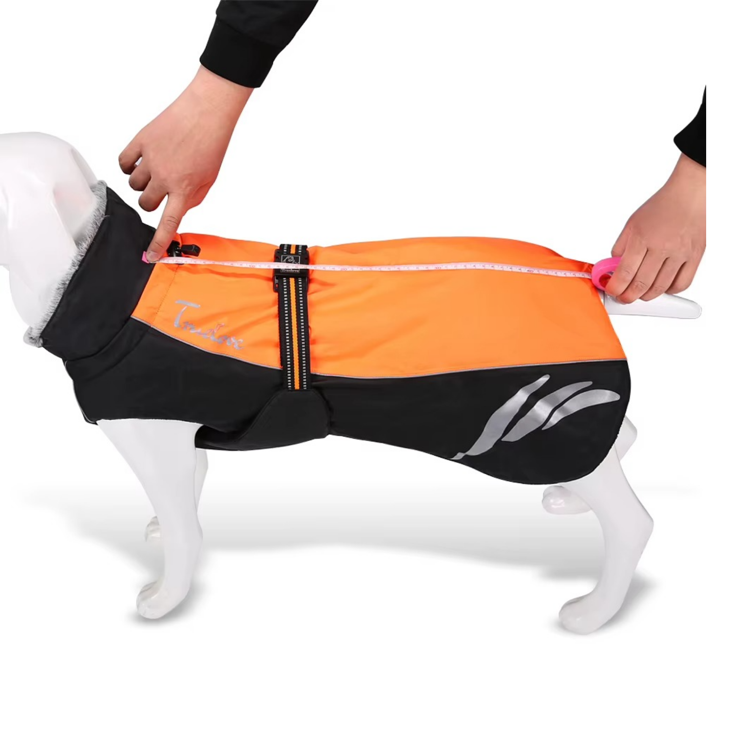 Hundeweste – sicherer Begleiter in der dunklen Jahreszeit