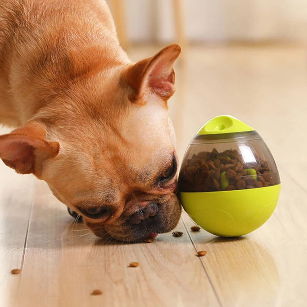 Langsame Fütterung für Hunde und Katzen – Interaktiver Futterball