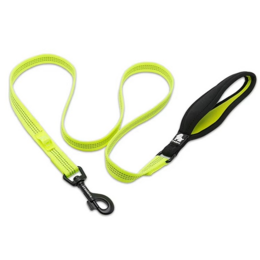 Reflektierende Hundeleine in Grün