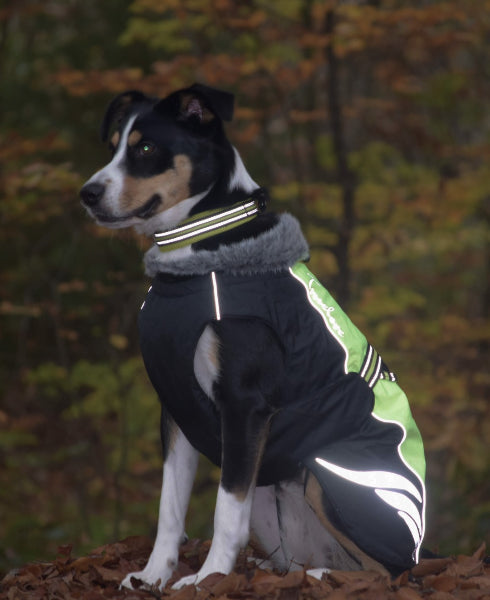 Reflektierende Produkte für deinen Hund