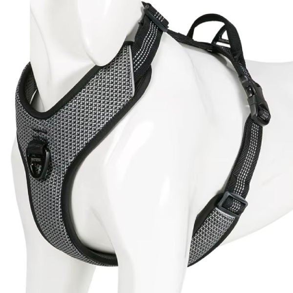 Reflektierende Streifen am Hundegeschirr für bessere Sichtbarkeit