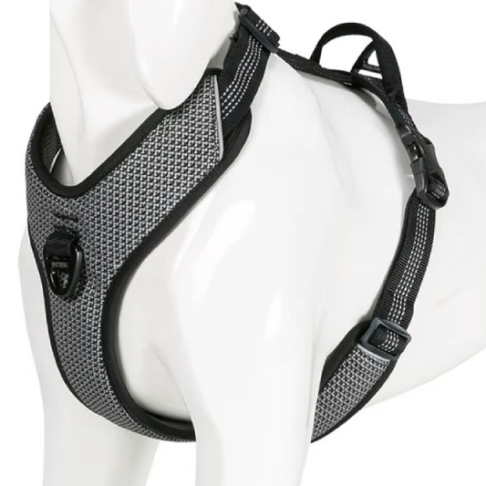 Reflektierende Streifen am Hundegeschirr für bessere Sichtbarkeit