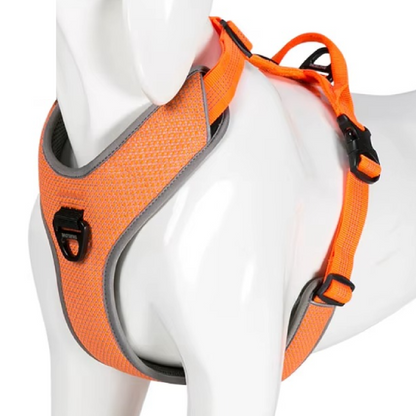 Reflektierendes Hundegeschirr beim Abendspaziergang – verstellbar, sicher und bequem für kleine und grosse Hunde