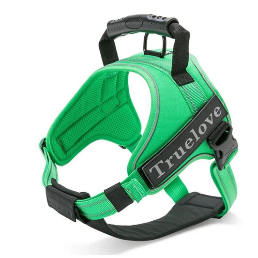 Reflexstreifen am Hundegeschirr für sichere Abendspaziergänge