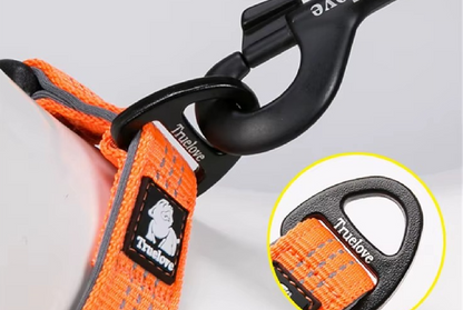 Sicheres Hundehalsband für Training und Spaziergänge bei Dämmerung