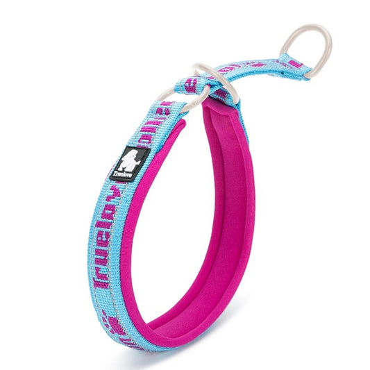 Sicherheits-Hundehalsband