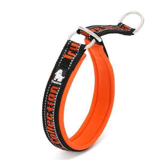 Stylisches und funktionales Halsband für aktive Hundehalter