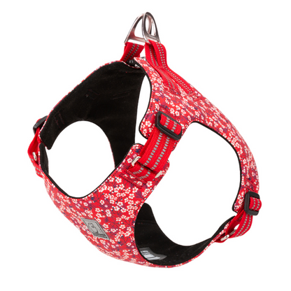 Verspieltes Geschirr mit Blumendesign für Katzen und Hunde