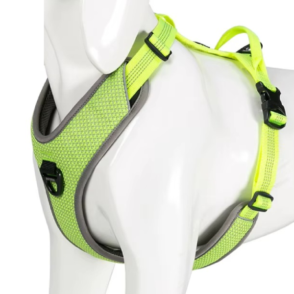 Verstellbare Riemen und Schnallen des Hundegeschirrs