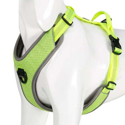 Verstellbare Riemen und Schnallen des Hundegeschirrs