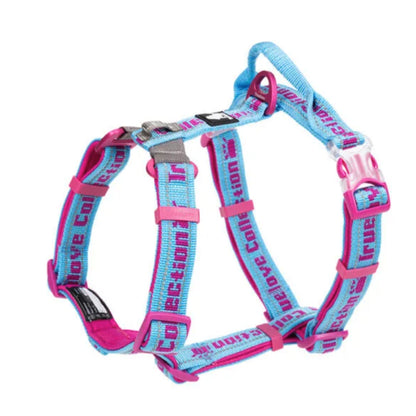 Verstellbares Hundegeschirr mit Aluminium-D-Ring für sichere Kontrolle
