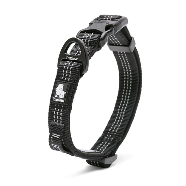 Verstellbares Nylon-Hundehalsband mit Sicherheitsverschluss