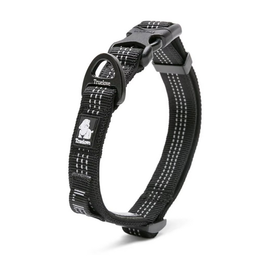 Verstellbares Nylon-Hundehalsband mit Sicherheitsverschluss