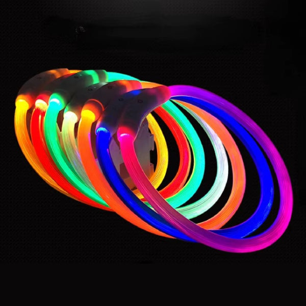 Wiederaufladbares USB-Leuchthalsband für Hunde