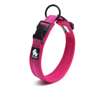 Hundehalsband..